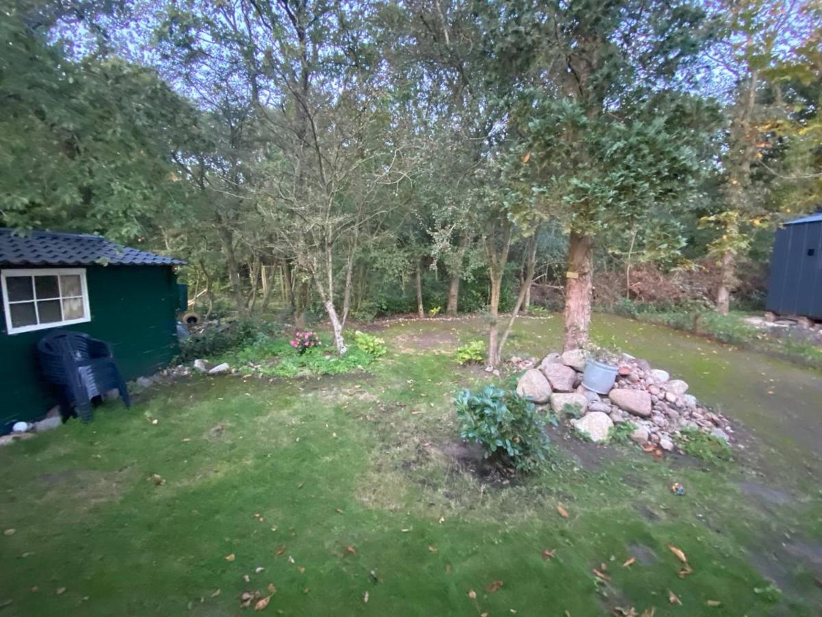 Chalet With Access To The Woods - No 147 Anloo Экстерьер фото